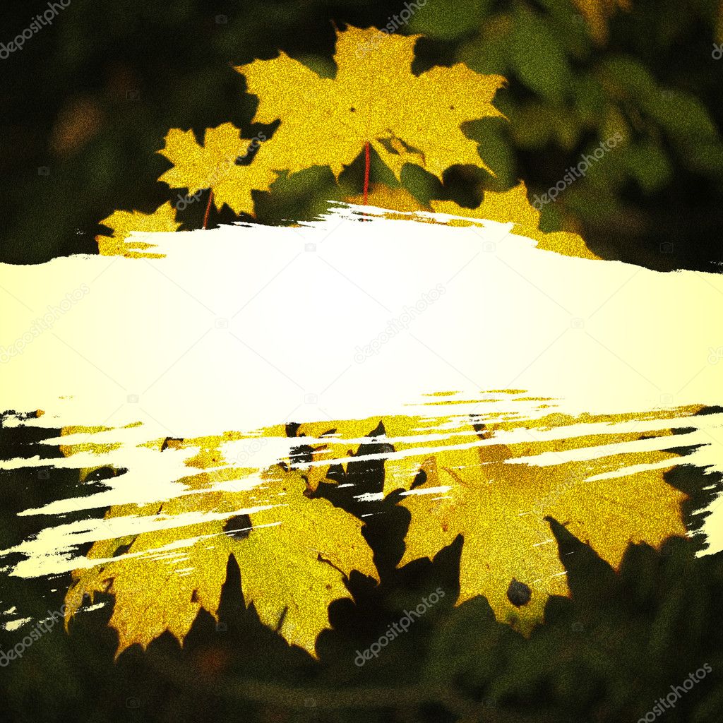 autumn background with yellow leaves