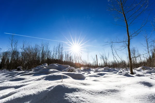 Krajobraz zimowy Zdjęcie Stockowe