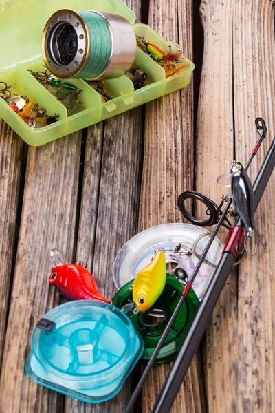 Pesca aborda no fundo a partir de planta seca — Fotografia de Stock