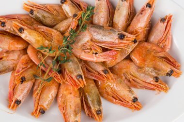 bölümü beyaz tabakta sıcak karides