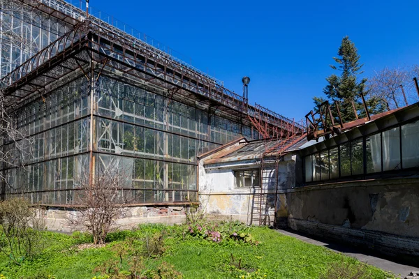 Greenhouse in sankt-peterburg botanic garden — Stock Photo, Image
