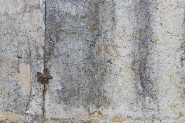 Старая каменная стена в качестве фона — стоковое фото