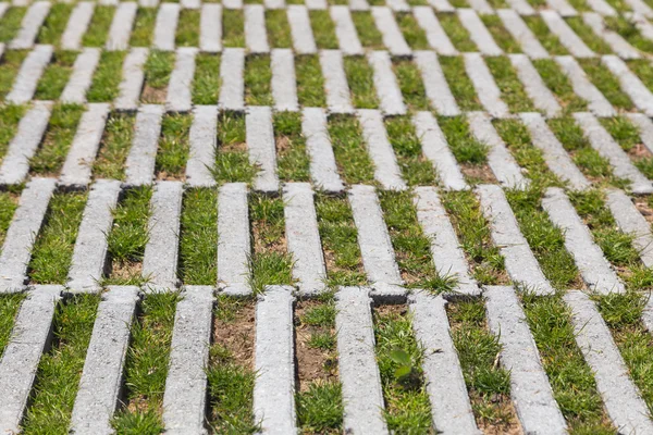 Achtergrondkleur met natuurlijke materialen — Stockfoto