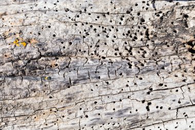 Artalan doğal malzeme ile