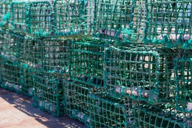 Deniz in kare yeşil Yengeç tuzakları