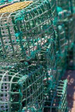 Deniz in kare yeşil Yengeç tuzakları