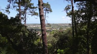 Ormanın yukarısından Avrupa köyü manzarası.