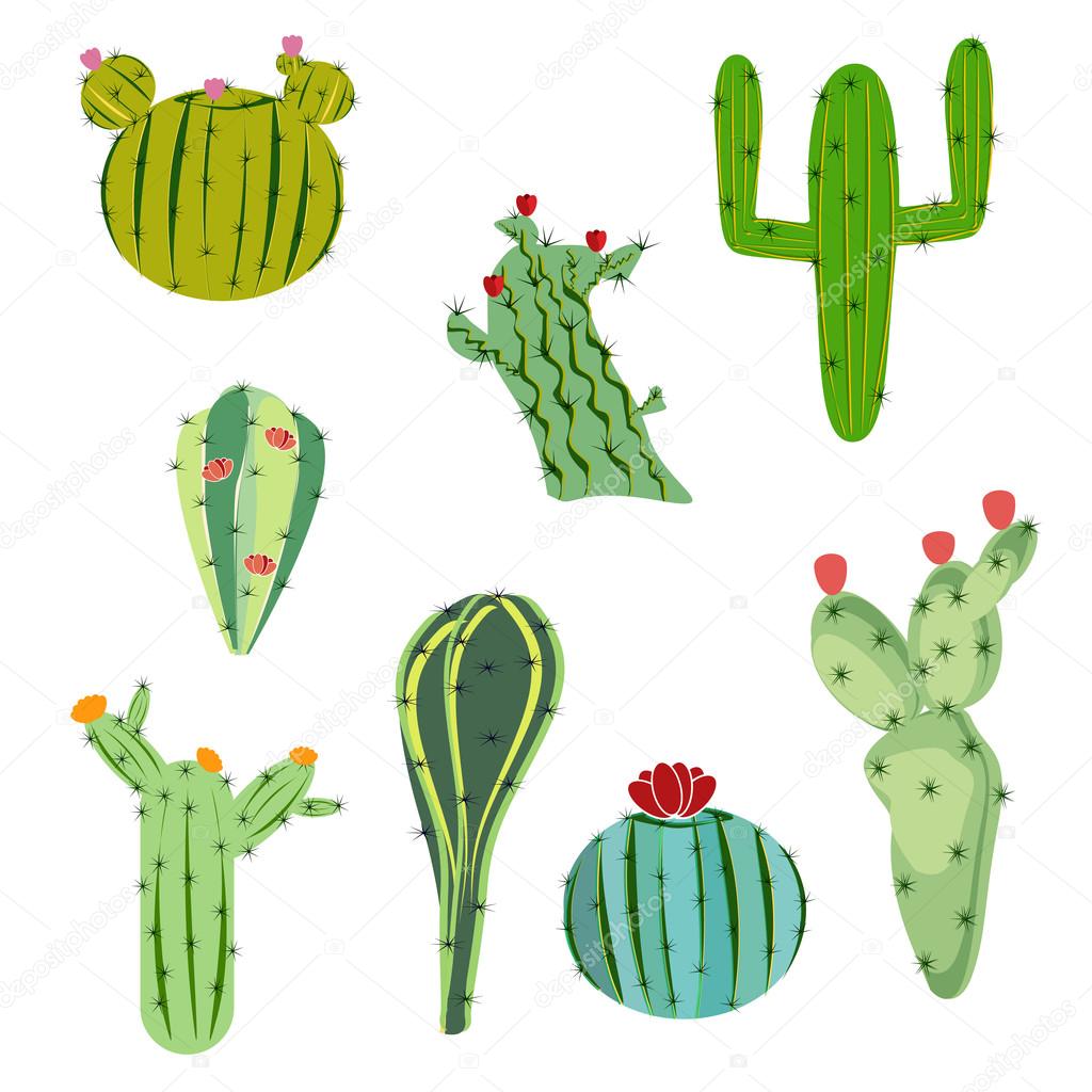 vector illustration set cactus with flowers in flat style