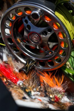 balıkçılık sinek böcek ve gerçek olan yol