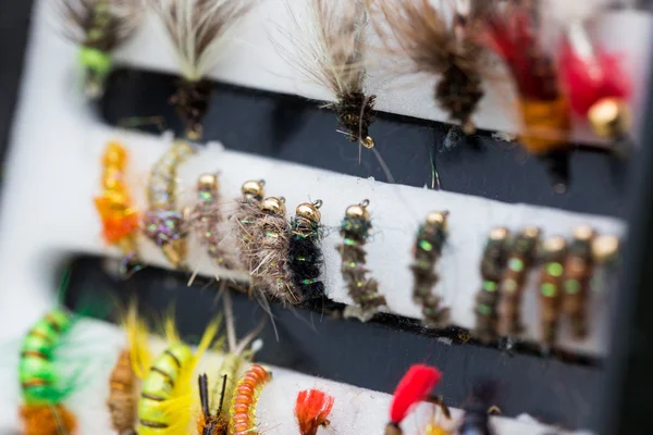 Diferentes insectos de pesca con mosca en caja —  Fotos de Stock
