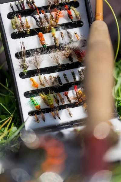 Fly fishing bugs and road with real — Stock Photo, Image