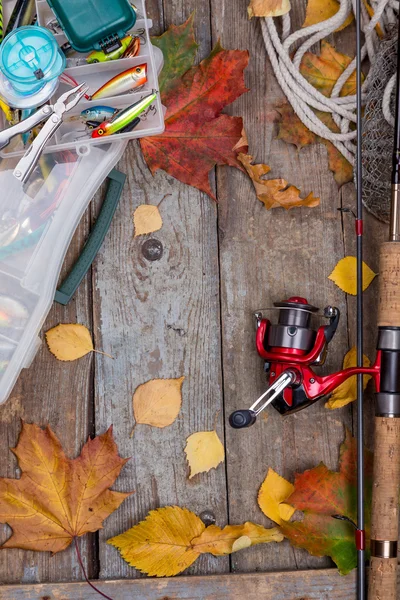 Pesca affronta a bordo con foglie d'autunno — Foto Stock