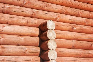 Yeni kahverengi günlük ev duvar