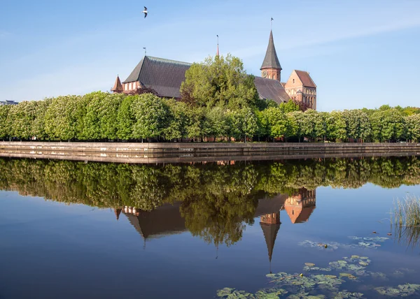 River landscape with cathedral — Stock Photo, Image