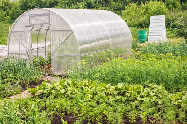 Пластиковая теплица для выращивания овощей — стоковое фото