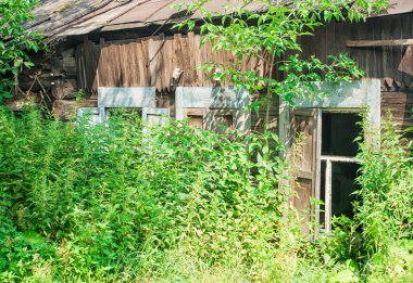 Terk edilmiş eski ahşap ev
