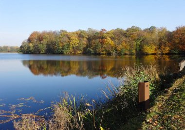 Ormanlı nehir manzarası güneşli yaz gününde mavi gökyüzü