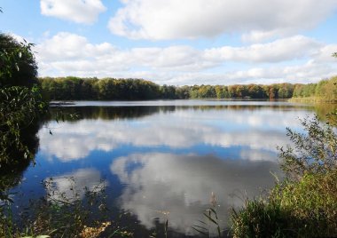 Ormanlı nehir manzarası ve güneşli yaz gününde mavi bulutlu gökyüzü