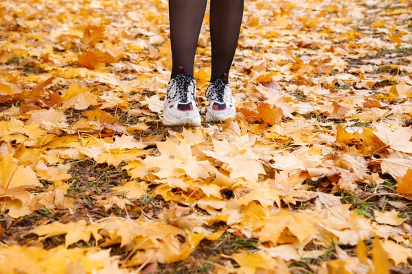 Femme Debout Sur Allée Parc Ville Avec Des Feuilles Jaunes — Photo