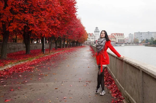 Mladá Dívka Červeném Kabátě Stojí Uličce Parku Řeky Dešti Podzimním — Stock fotografie