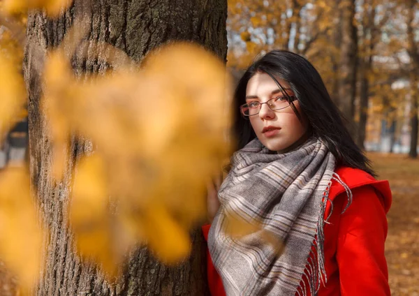 Portrét Mladé Dívky Červeném Kabátě Stojící Uličce Parku Podzimním Dni — Stock fotografie