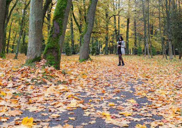 Mladá Dívka Šedém Kabátě Stojící Uličce Městském Parku Podzim — Stock fotografie