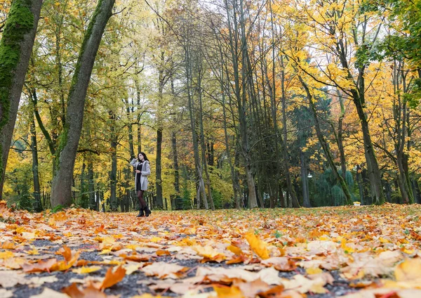 秋天的一天 穿着灰色外套的小女孩站在城市公园的小巷里 — 图库照片