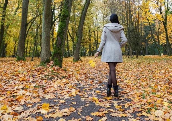 Young Girl Gray Coat Standing Alley City Park Autumn Day — Stock Photo, Image