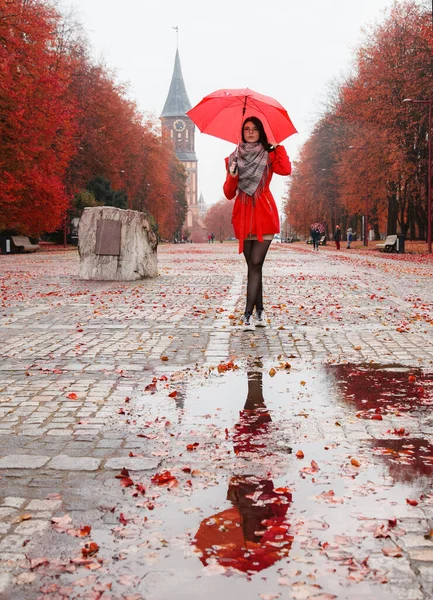 秋晴れの雨の後公園の路地に傘を差した赤いコートの少女が立っている — ストック写真