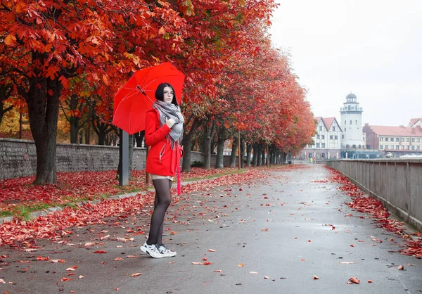 秋の日市公園の路地に傘を差した赤いコートの少女 — ストック写真