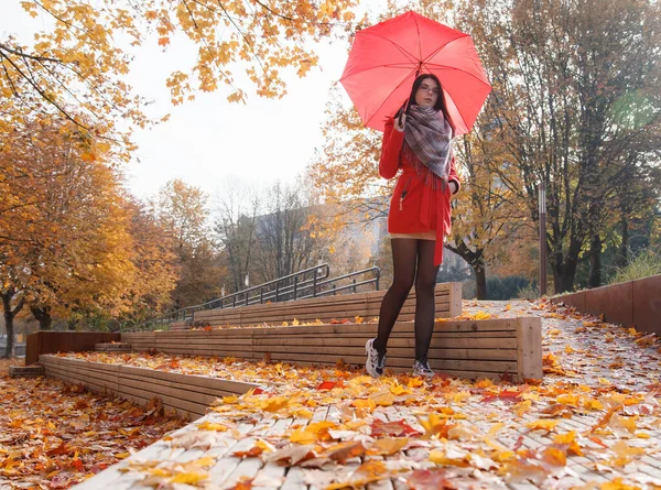 Mladá Dívka Červeném Kabátě Deštníkem Stojící Uličce Městského Parku Slunečného — Stock fotografie