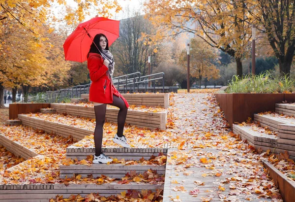 Güneşli Bir Sonbahar Gününde Şehir Parkında Şemsiyesi Olan Kırmızı Ceketli — Stok fotoğraf