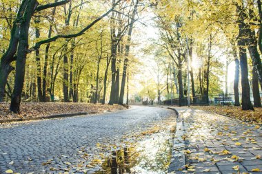 Güneşli bir sonbahar sabahında boş bir sokak.
