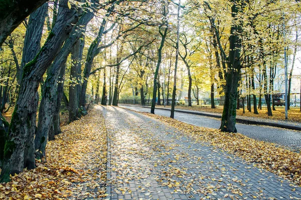 秋天阳光明媚的早晨 空荡荡的城市小巷 — 图库照片