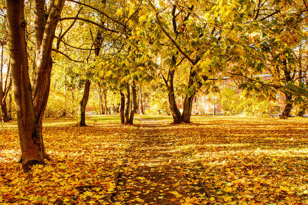 пустой городской переулок в солнечный осенний день