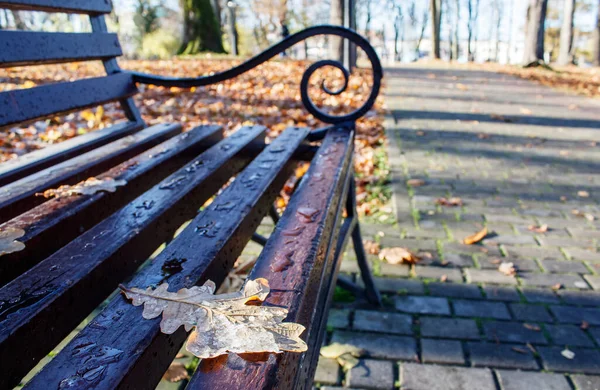 秋天阳光灿烂的日子 公园里的棕色木制长椅 — 图库照片
