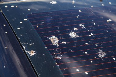 bird shit on car glass. closeup outdoor
