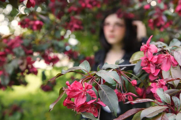 春の晴れた日に桜の近くに立って黒のジャケットとバーガンディセーターで若い美しいブルネットの女の子の肖像画 屋外の閉鎖 — ストック写真
