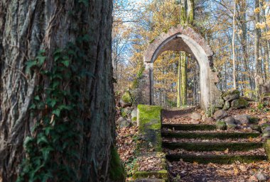 Güneşli bir günde ormanda terk edilmiş eski bir ortaçağ şapeli.