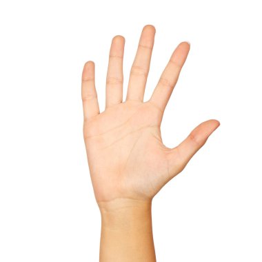 5 numaralı Amerikan işaret dili. Beyaz arka planda izole edilmiş kadın el hareketi.