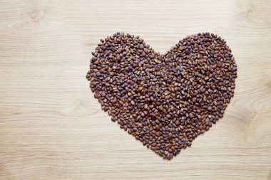 Sedir fındık yürekten