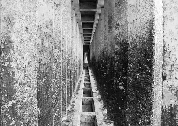 Corridor de piliers en béton — Photo