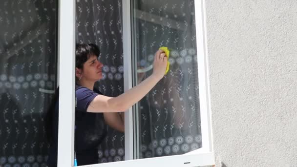 Jovem mulher lavando a janela — Vídeo de Stock