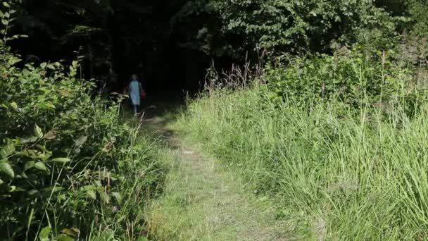 Kleines Mädchen geht aus dem Wald — Stockvideo