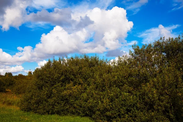 Paisagem nuvem — Fotografia de Stock