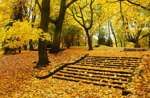 Helles Stadtbild im Herbst — Stockfoto