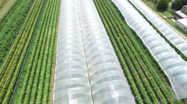  kırsal meyve bitkileri yetiştirme