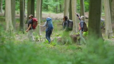  arkadaşlar ormanda hiking