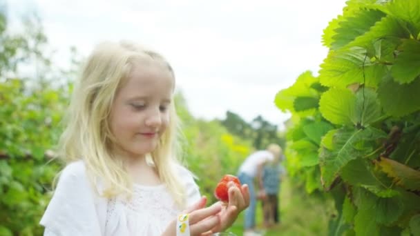 Meisje eten aardbei — Stockvideo