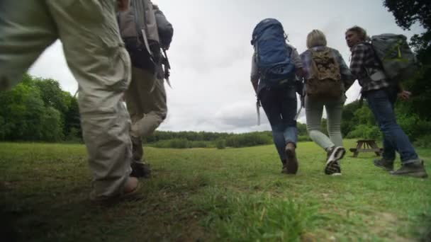 Amis marchant le long d'un sentier forestier — Video